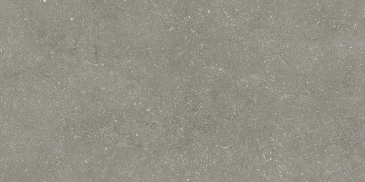 Casalgrande Padana Stile French Grey połaczenie mat-poler 30x60 cm gr. 9 mm